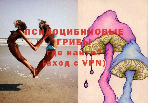 марки nbome Белокуриха