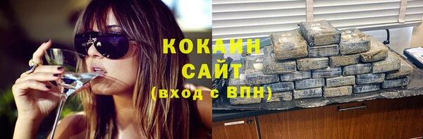 ALPHA PVP Богородицк