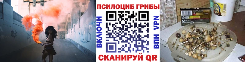 Псилоцибиновые грибы Psilocybe  купить   Тара 